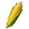 maize-color